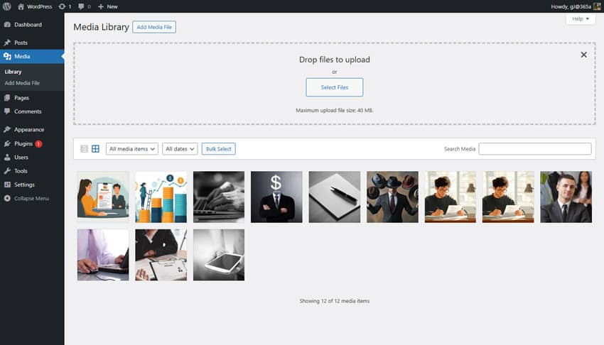 Screenshot showing the WordPress Media Library as an example